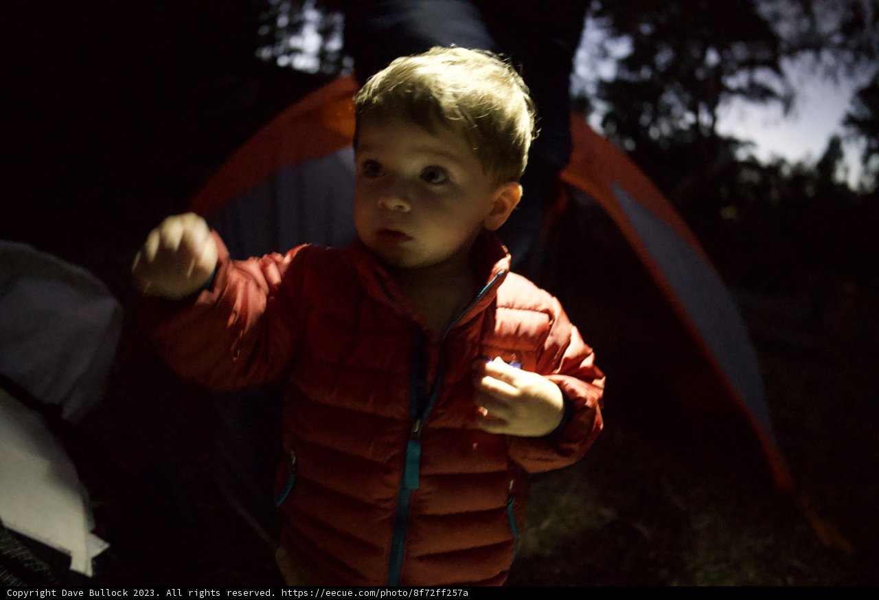 Wesley's First Night Under the Stars