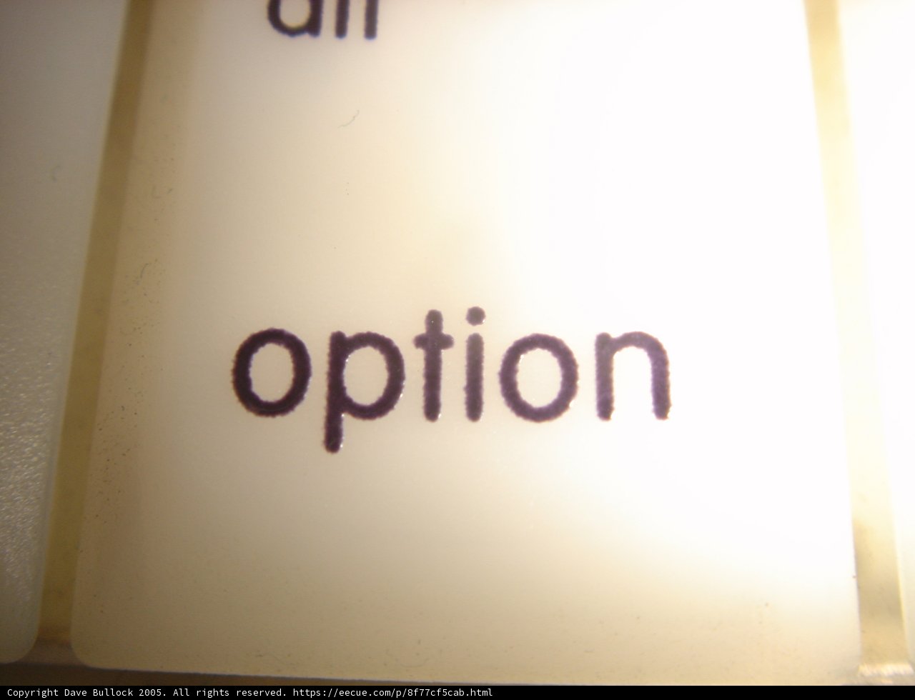 The Power of Options
