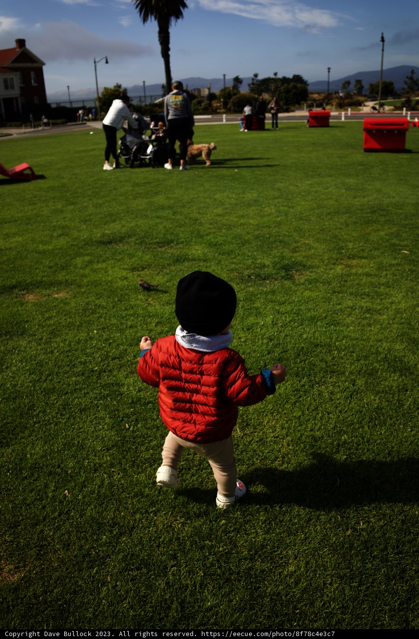 Boundless Childhood Freedom