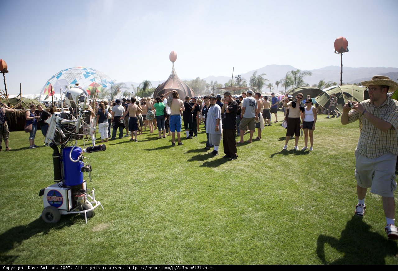 Man and Robot in the Grass