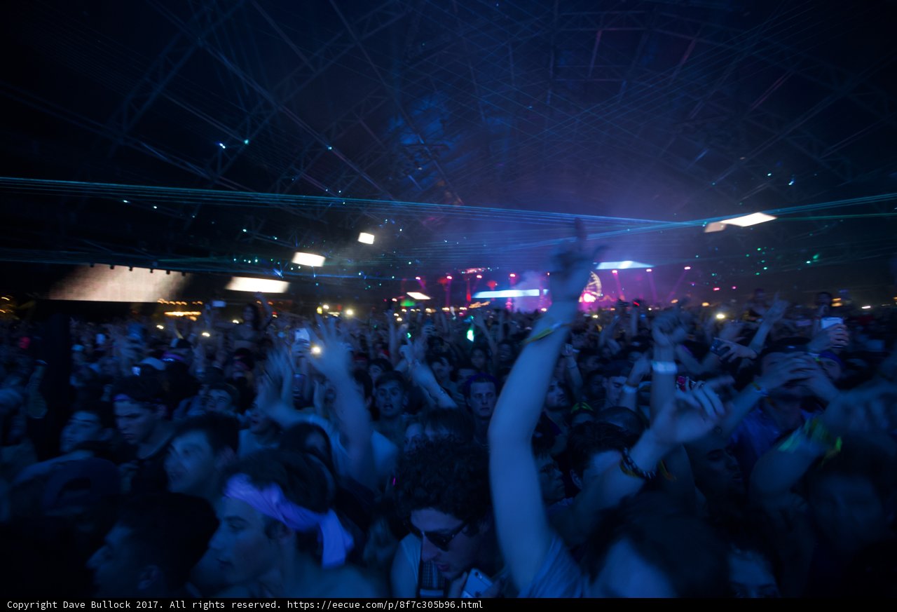 Coachella Concertgoers with Hands Up