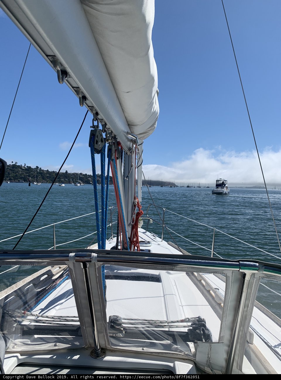 Reflections on the Bay