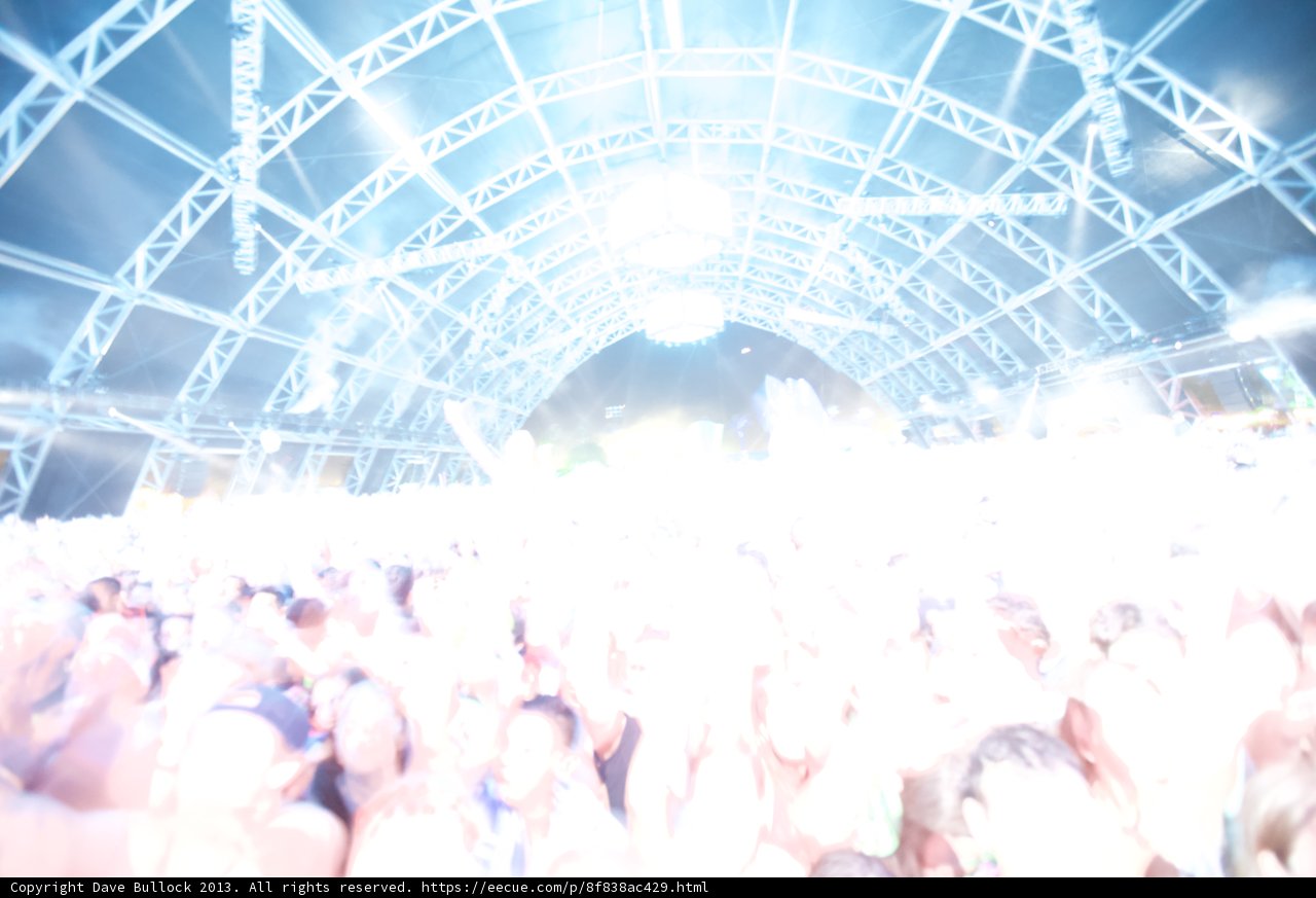 Electric Crowd at Coachella