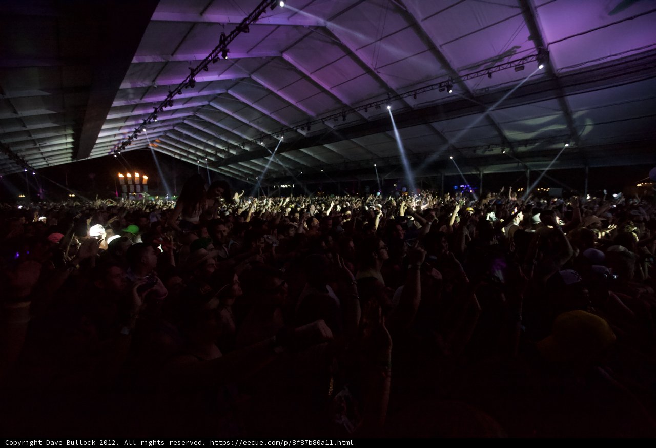 Electric Nights: Revelry at Coachella 2012