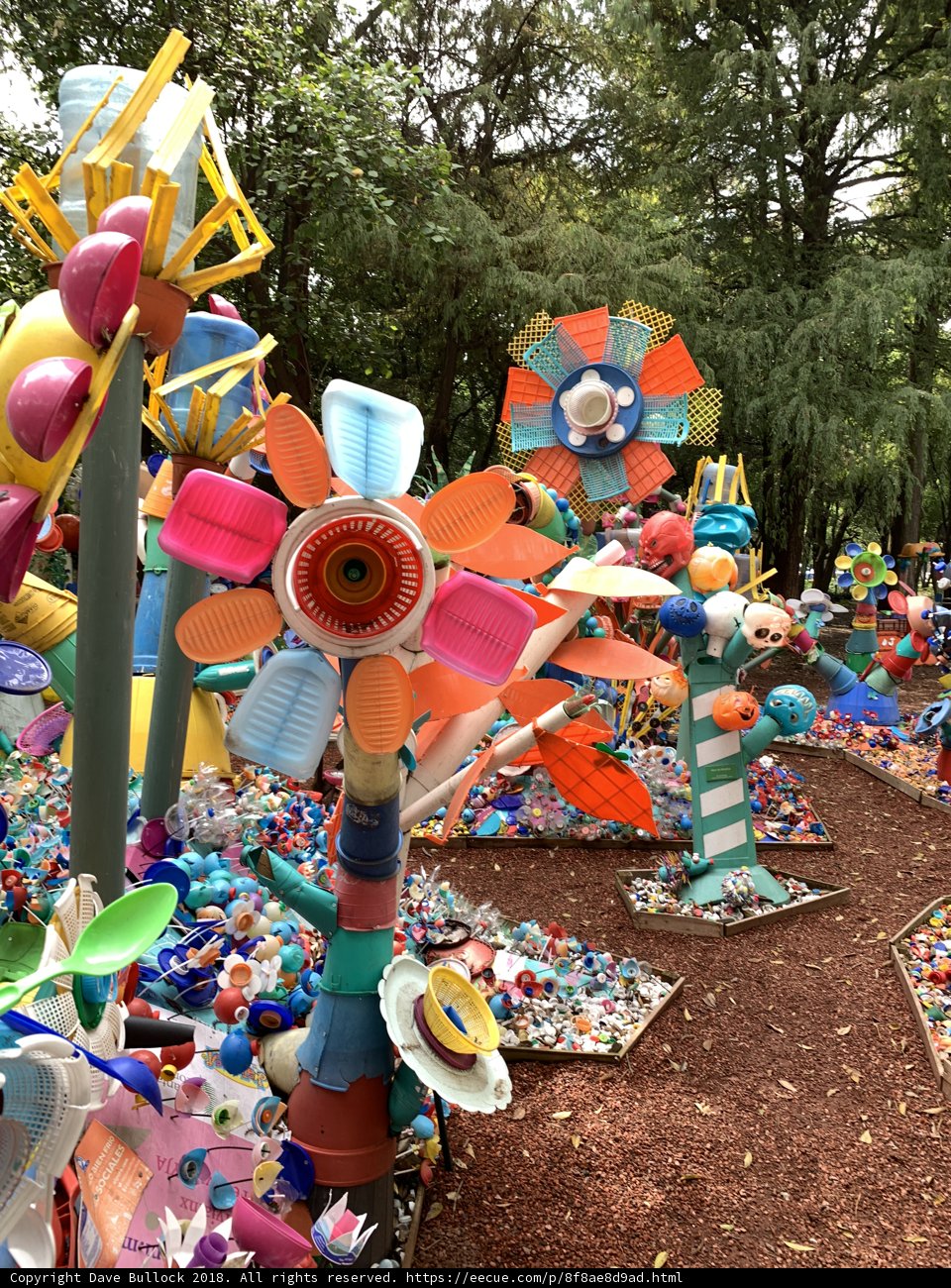 A Vibrant Oasis in the Park