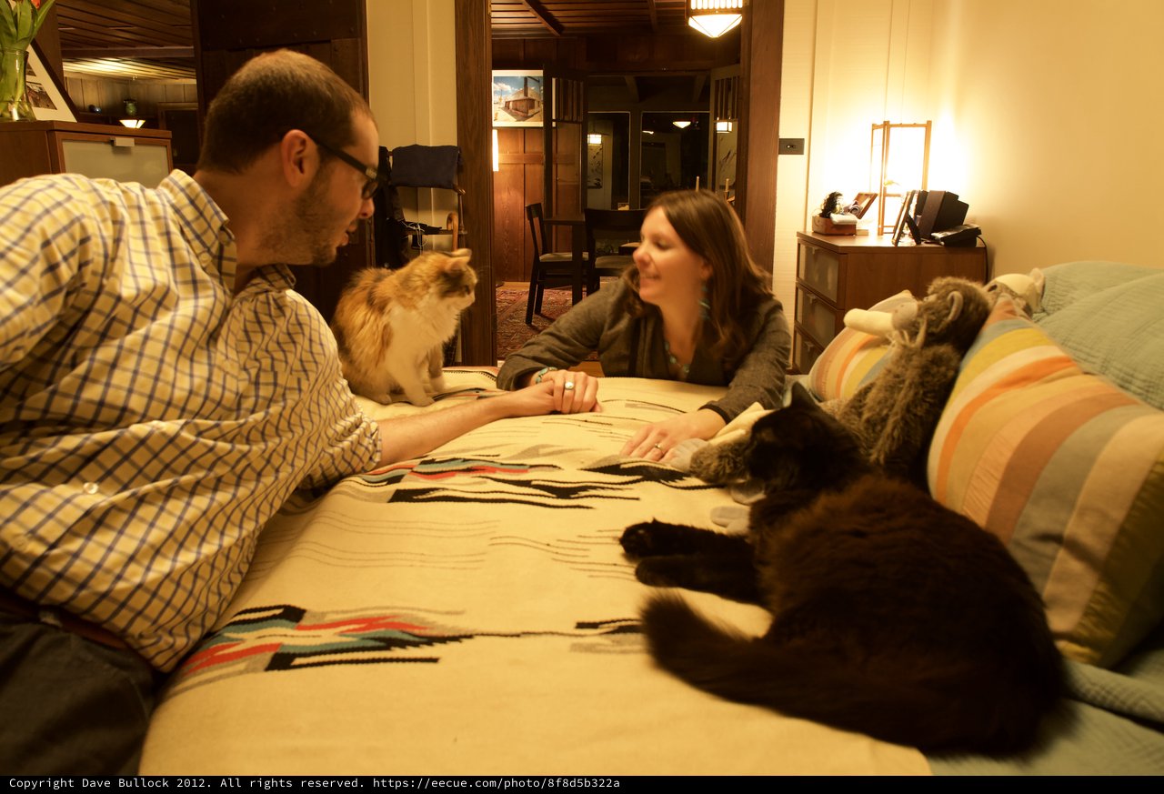 Couple Relaxing with Cats on Cozy Bed