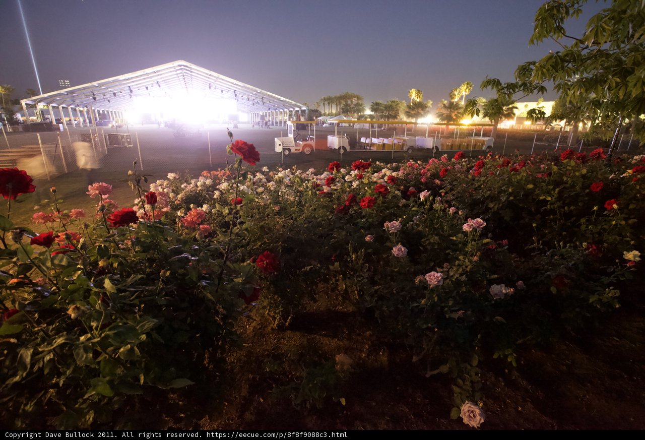 Night Garden with Skyline