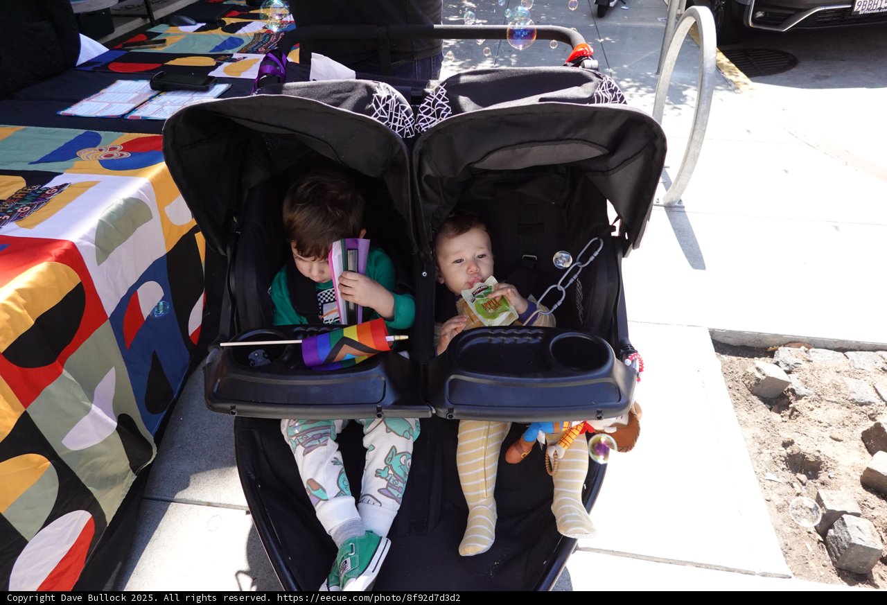 Little Explorers on a Sunny Day