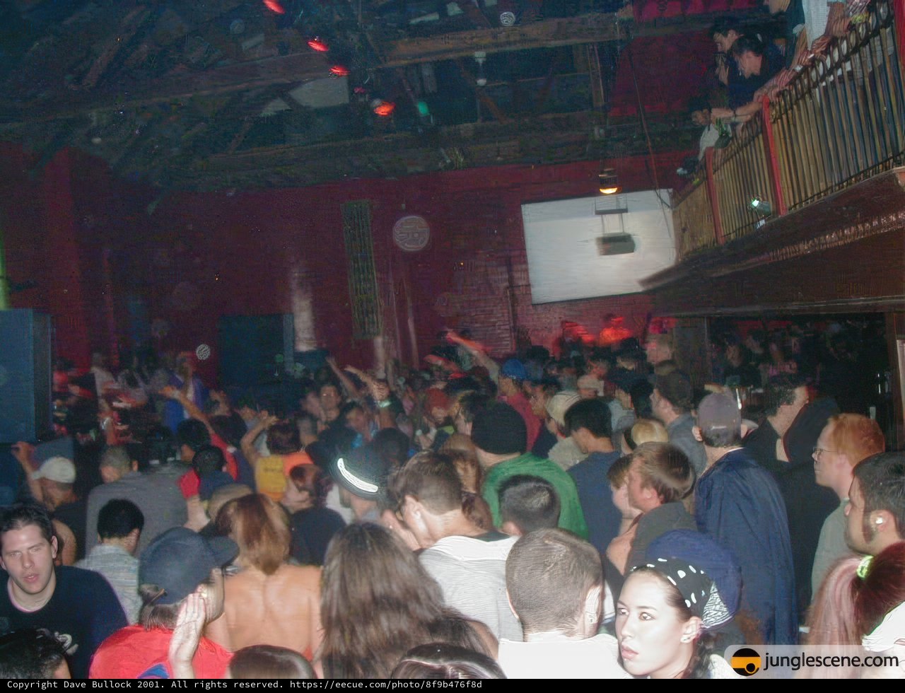 Nightclub frenzy