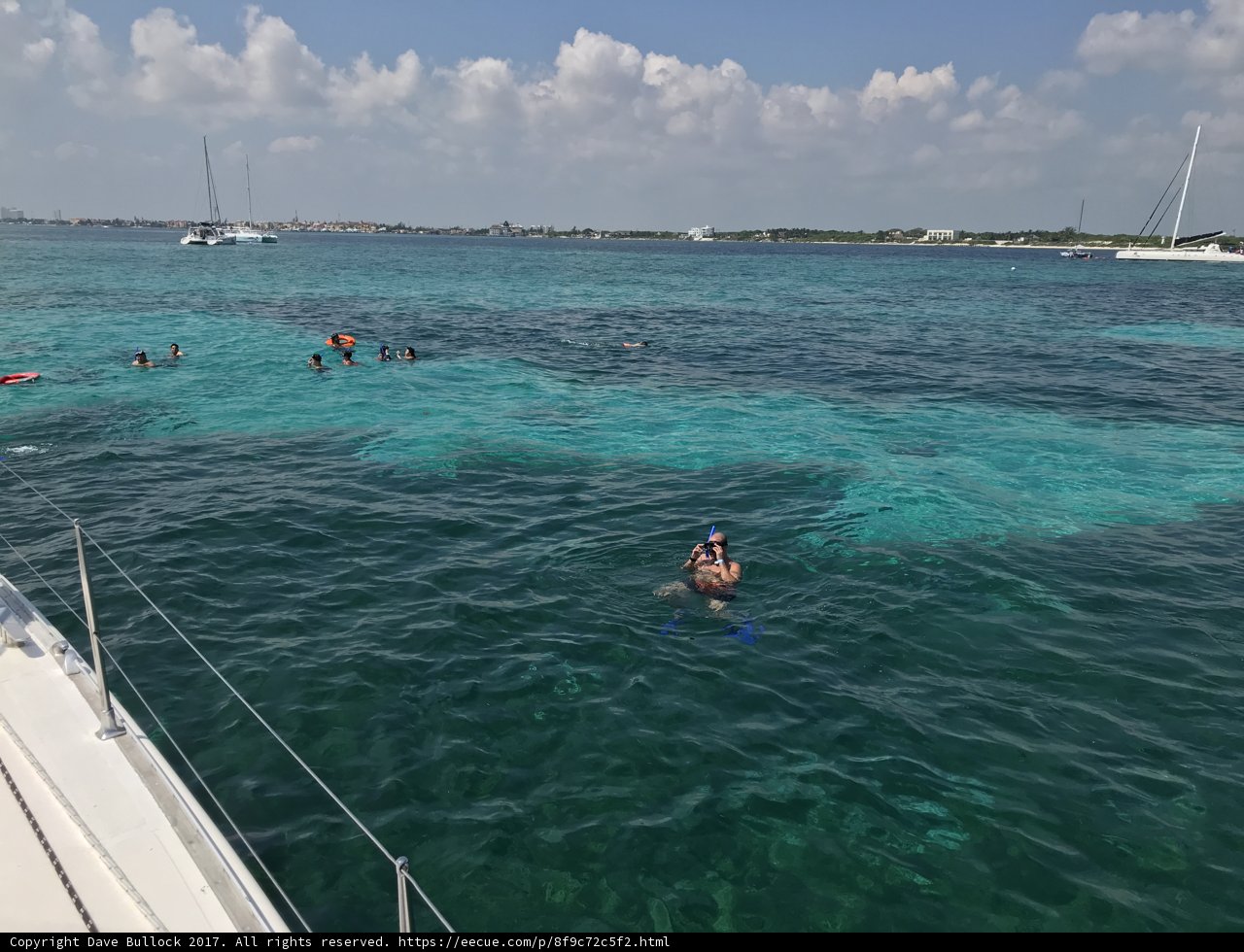 Leisurely Swim on the Open Seas