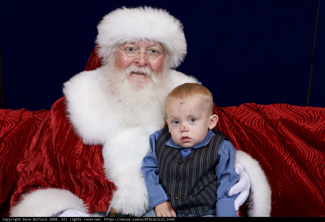 Santa's Little Helper