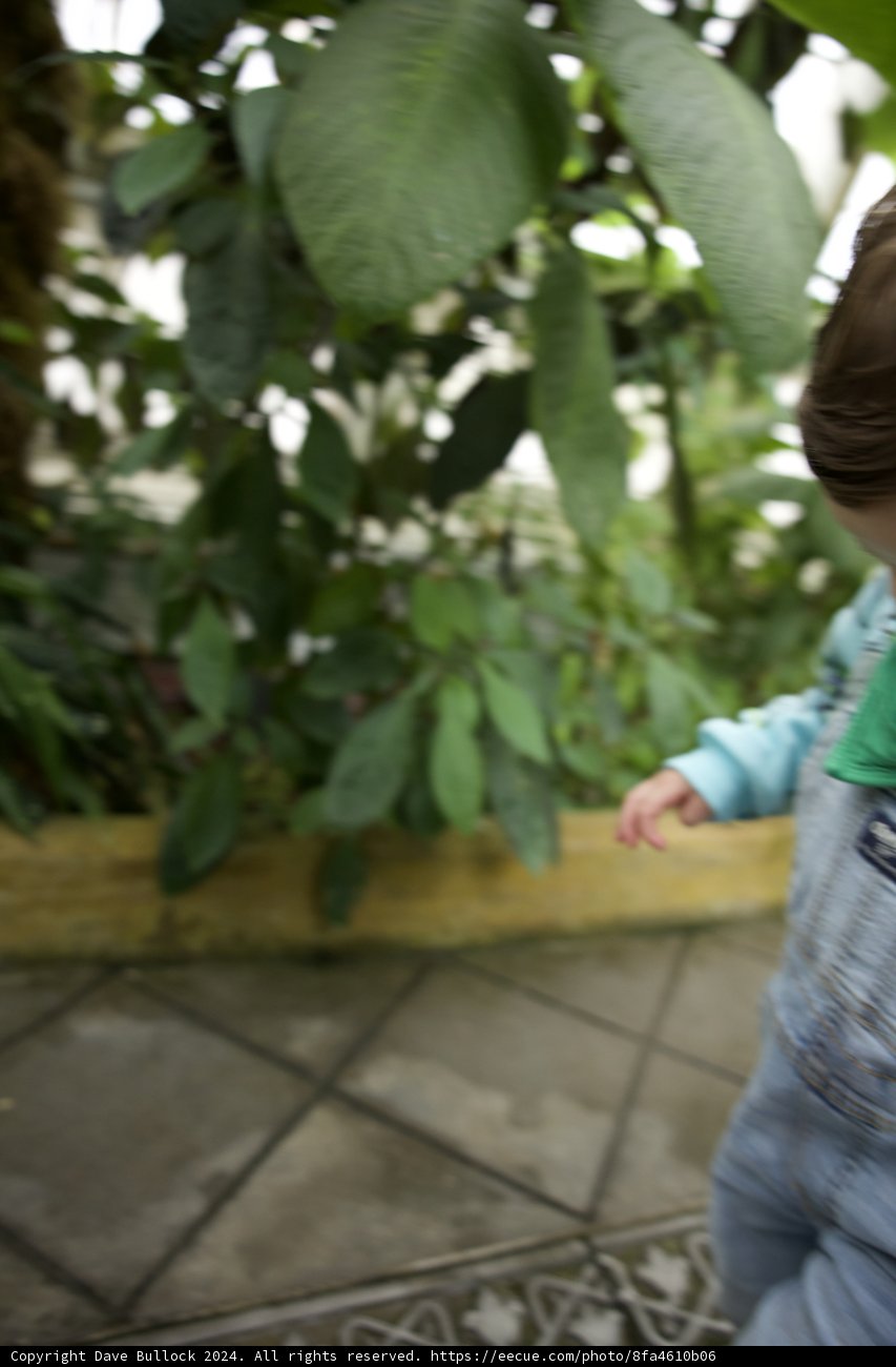 Digital Native in Nature
