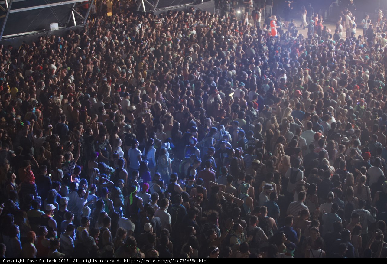 Rocking with the Crowd
