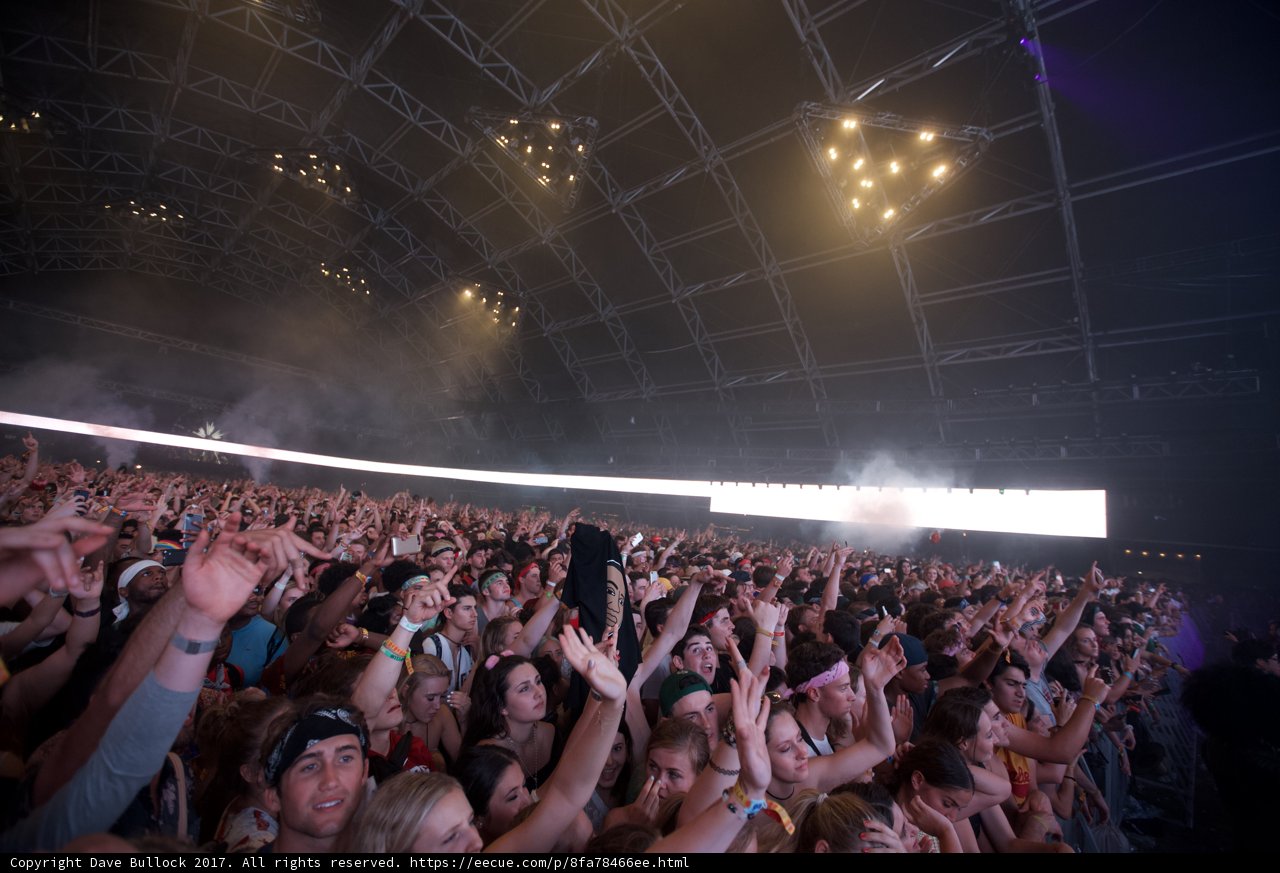 Coachella Concert Crowd Goes Wild