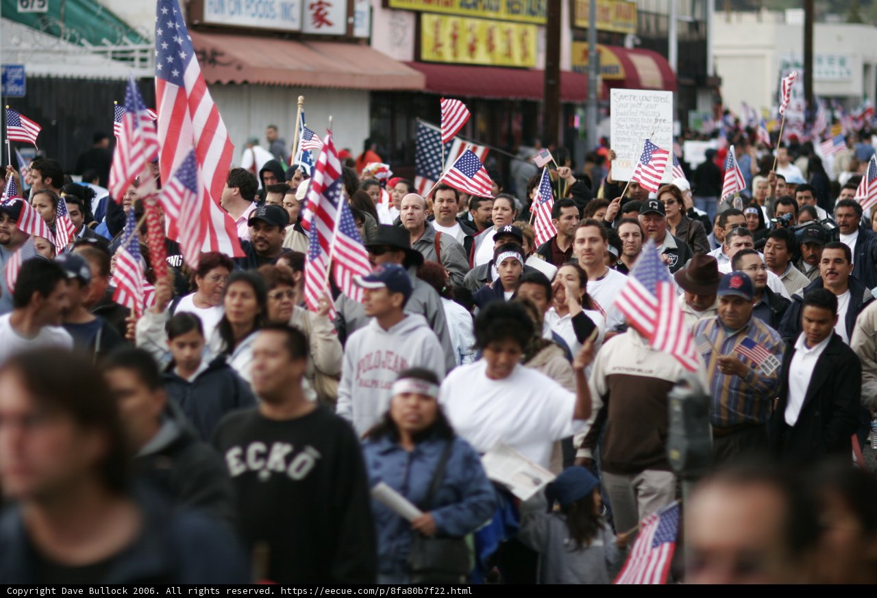 Patriotic Crowd