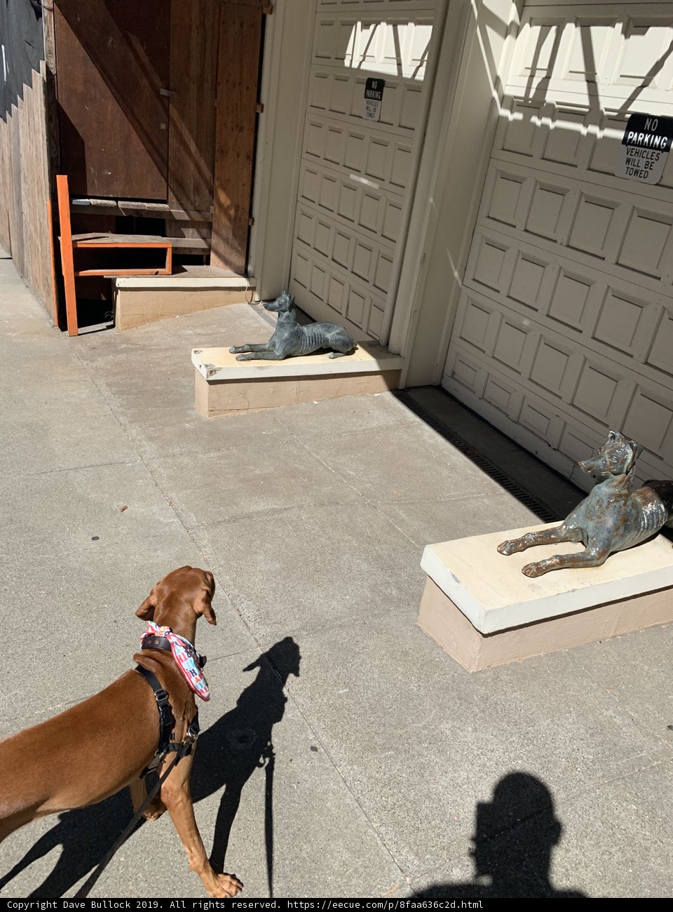 Puzzled Pup Observing Sculpture Double