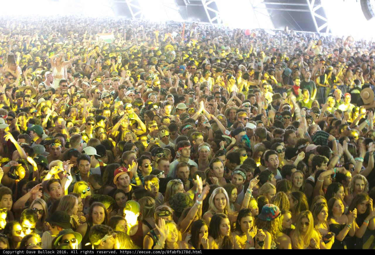 Yellow Lights and a Sea of Faces