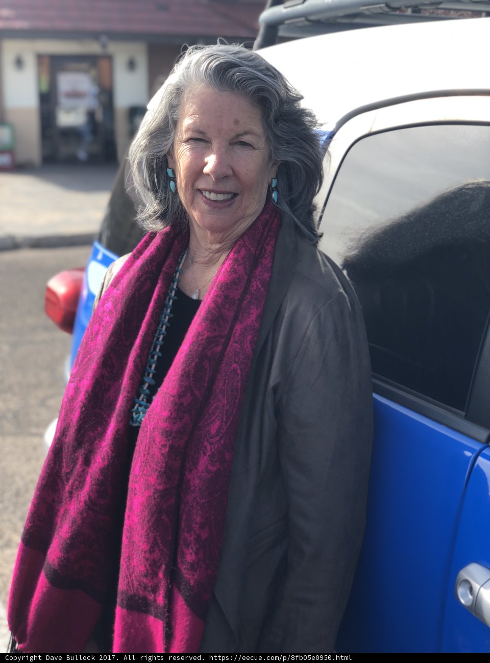 Woman posing with blue van