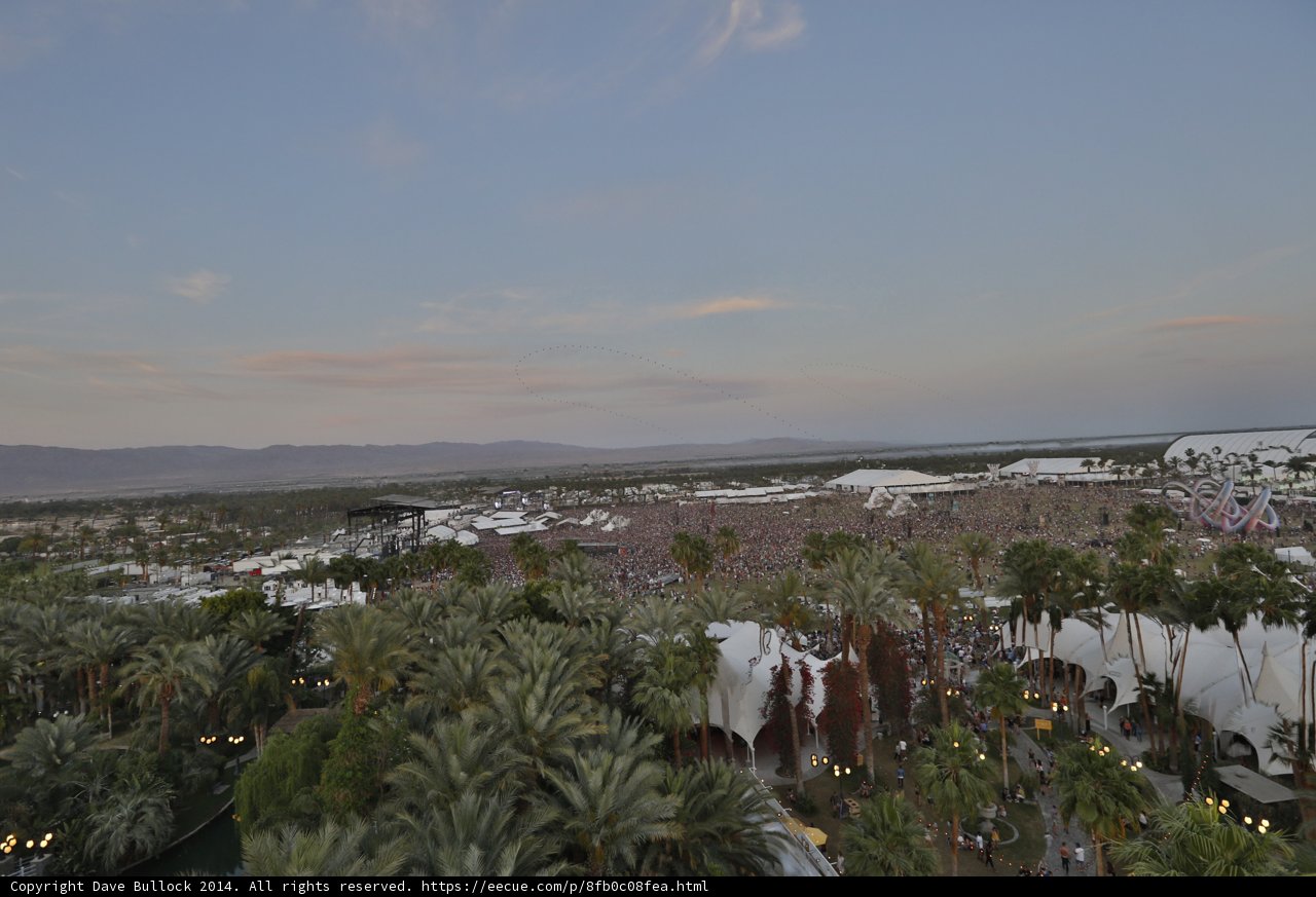 Palm Trees and Mountains