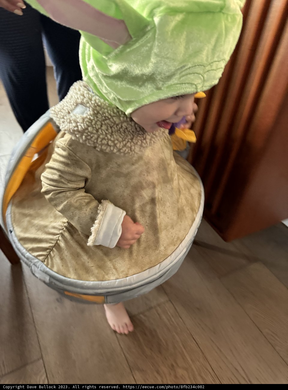 A Burst of Green: A Little Explorer in the Making