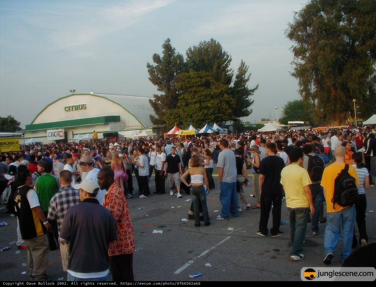 Gathering of the Masses