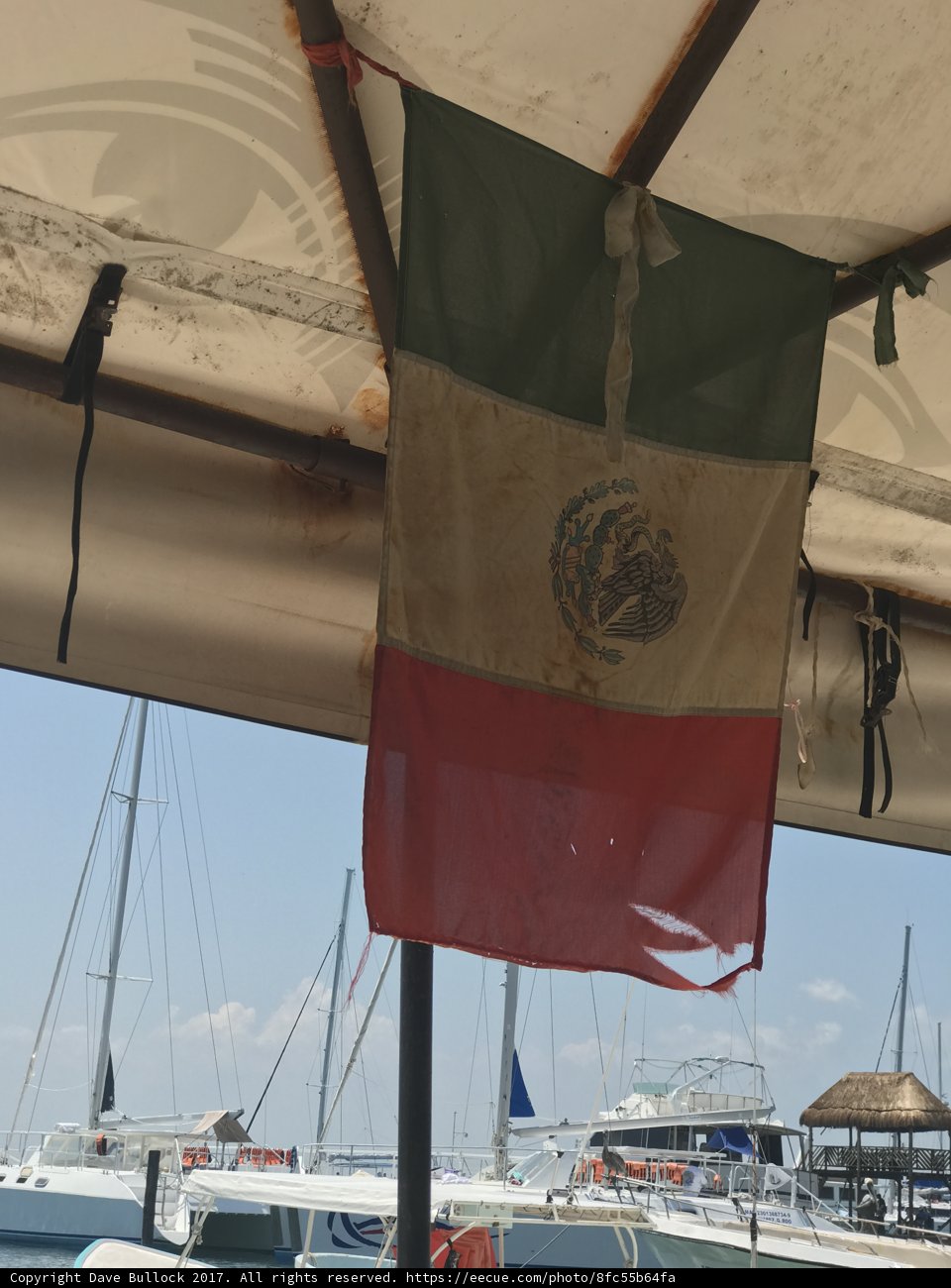 Mexican Flag Waves in the Water