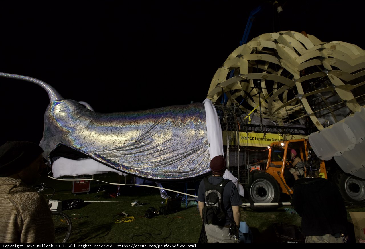 Night Sky Whale
