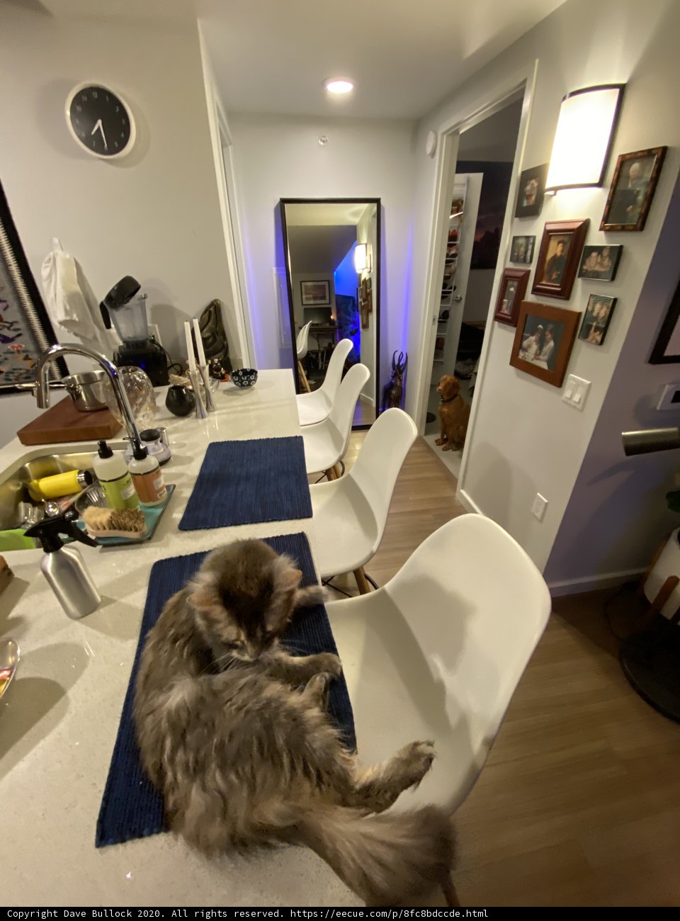 Lucky's Relaxing Moment