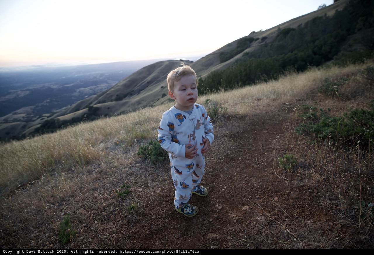 Toddler Explorer at Golden Hour on Mt. Diablo
