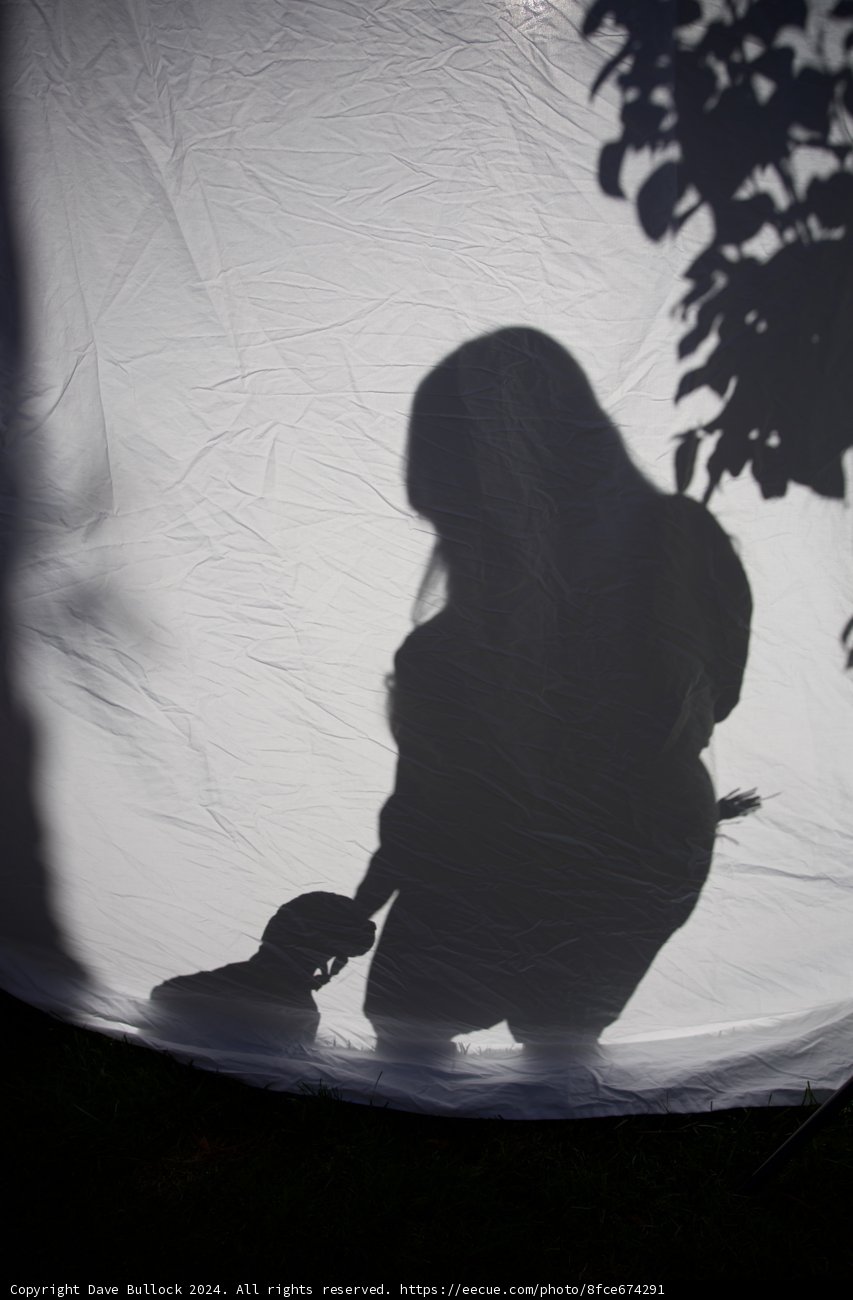 **Silhouettes of Anticipation**