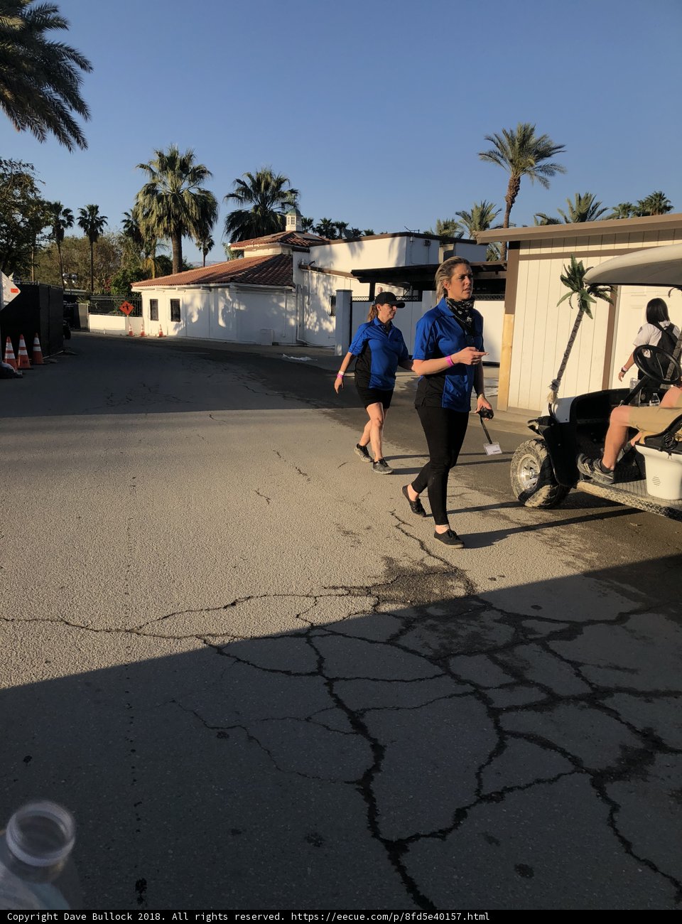 Summer stroll with a cart