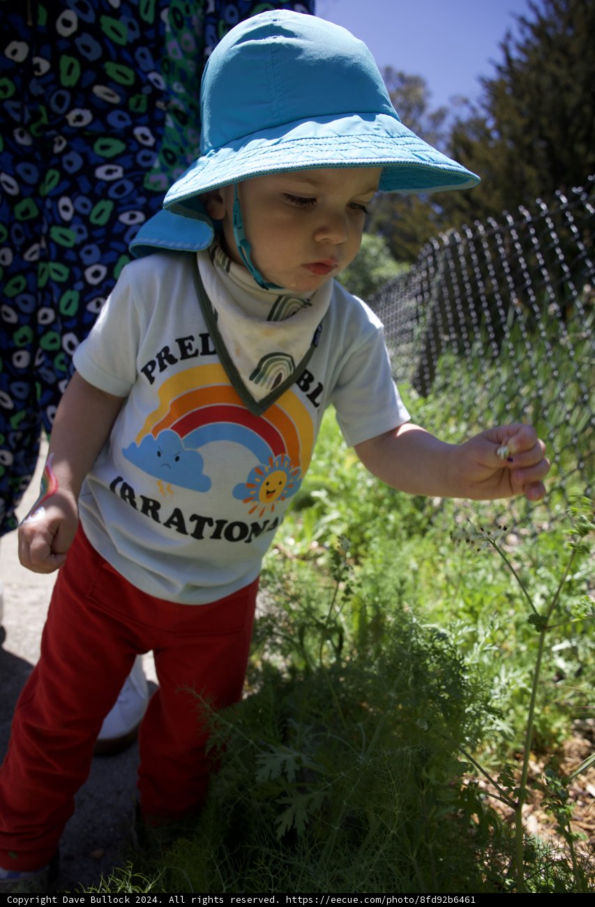 Young Explorer at Alemany Farm