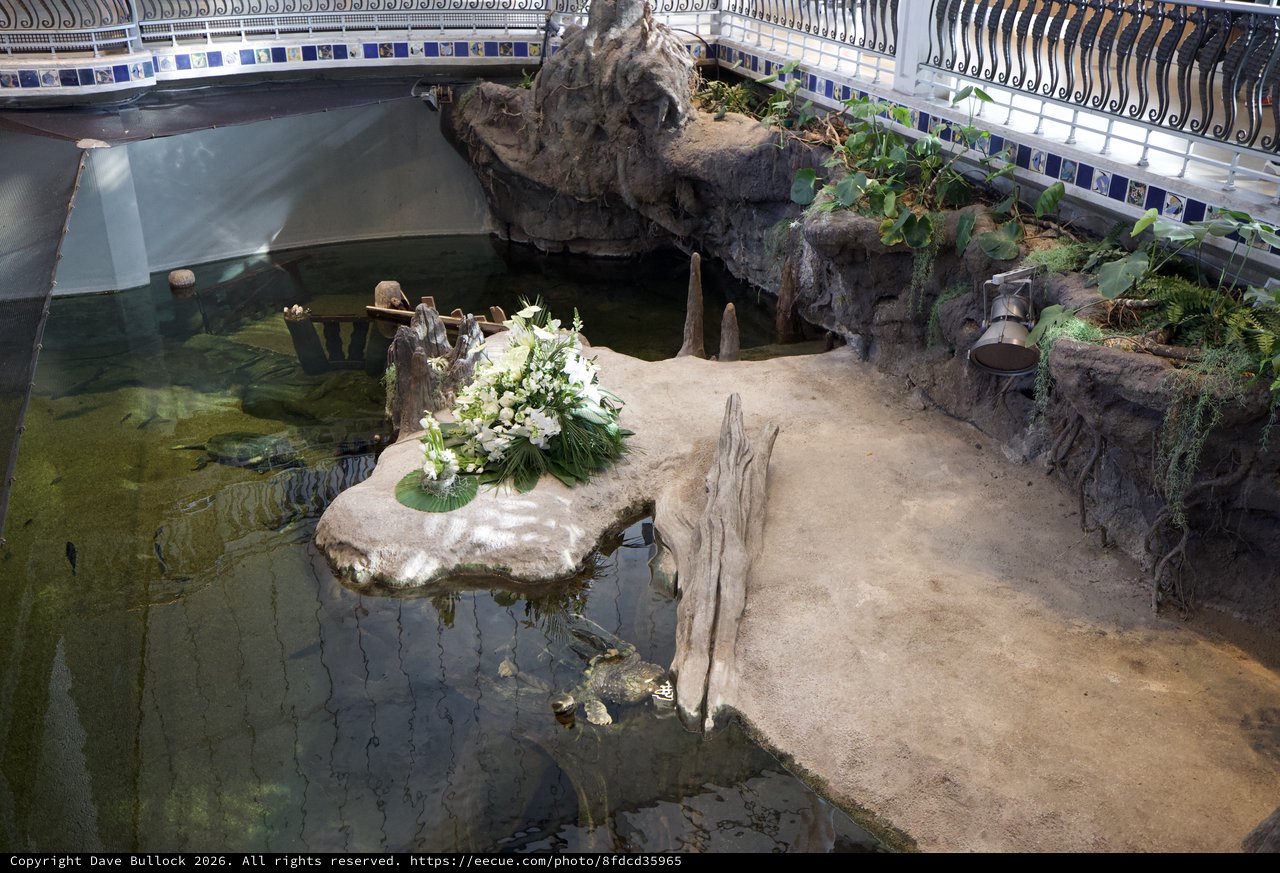 Memorial Turtle Habitat with Floral Tribute Display