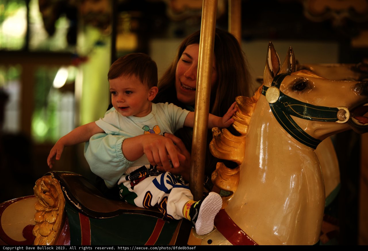 Whirl of Delight at the SF Zoo Carousel