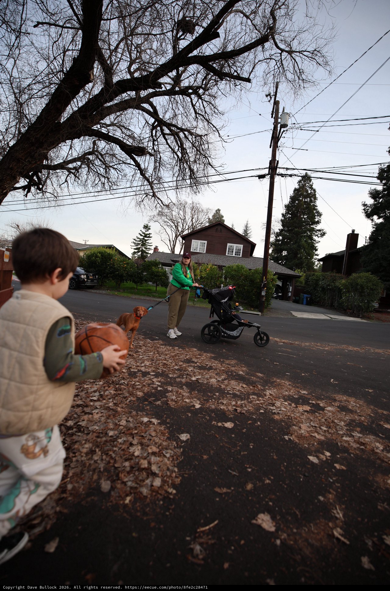 Family Sunday Walk in Residential Neighborhood