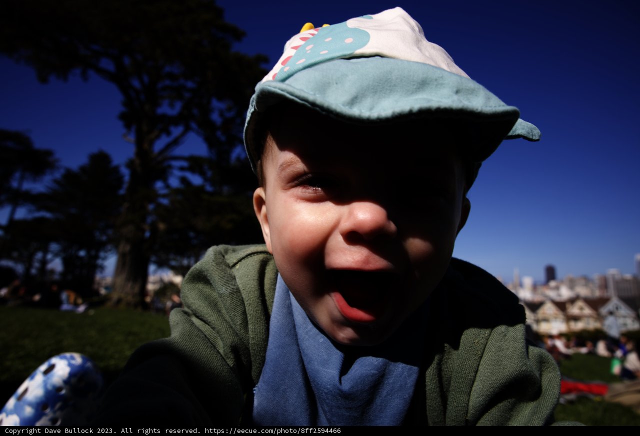 Joyful Moments at Alamo Square
