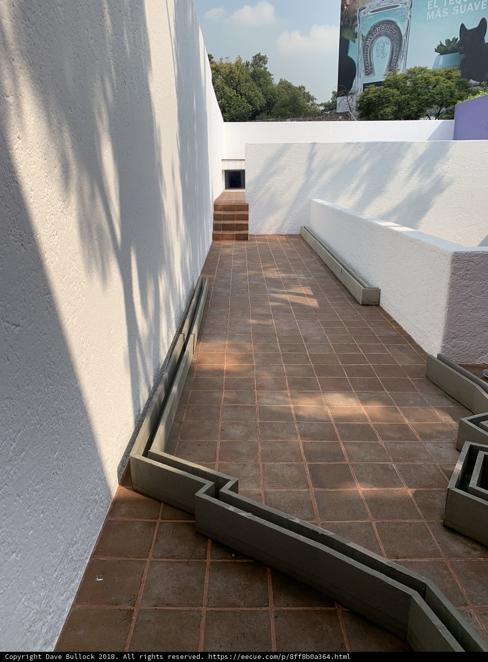 Tranquil Walkway with Benches and Trees