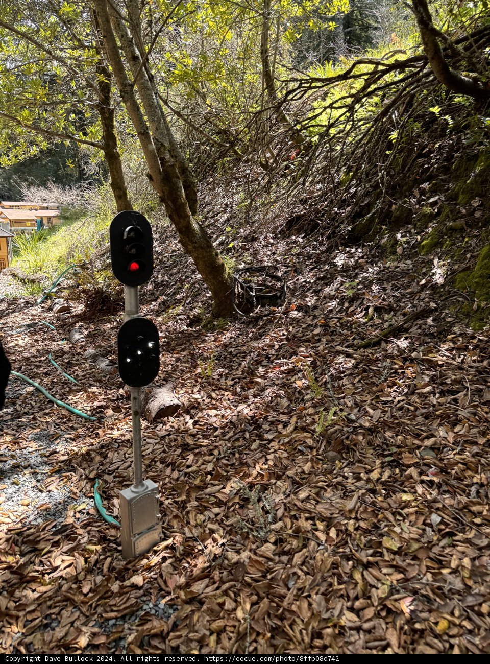 Contrasts of Tilden: Nature and Signals