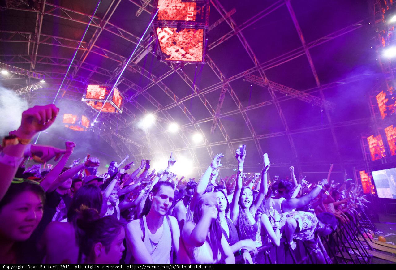Coachella Crowd Goes Wild
