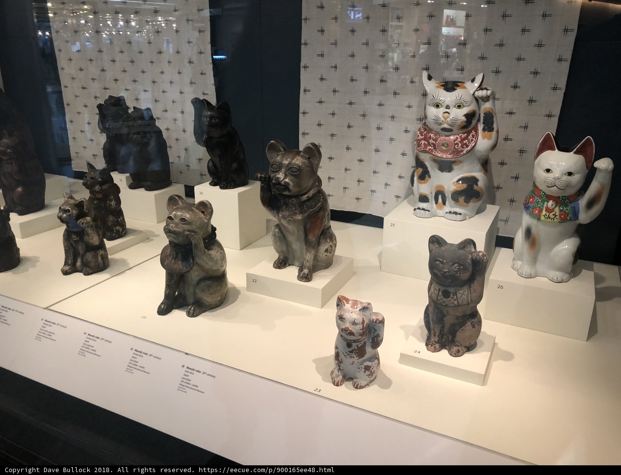 Feline Fanatics Collection