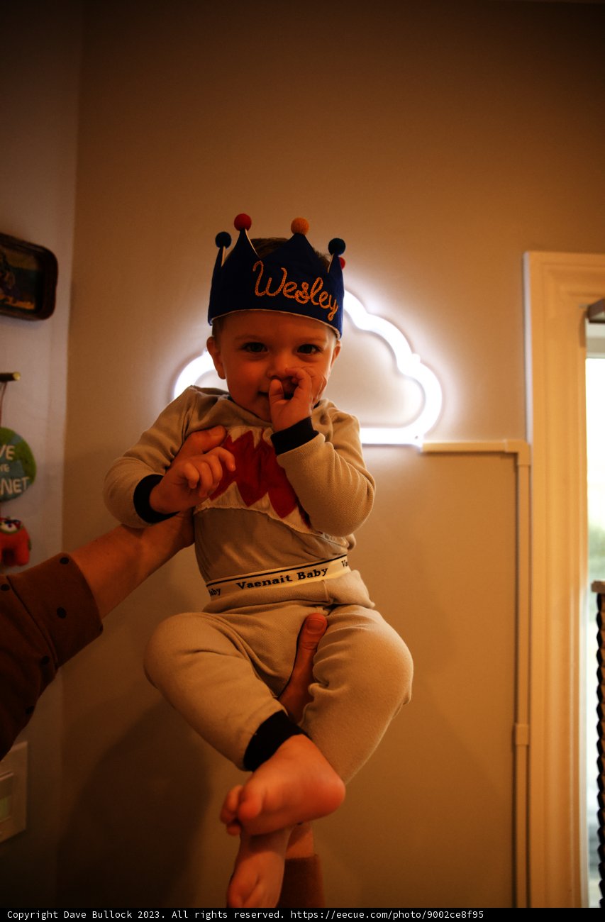 Royal First Birthday: A Baby’s Kingdom