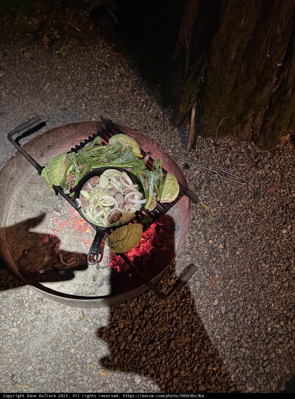 Campfire Culinary Delight