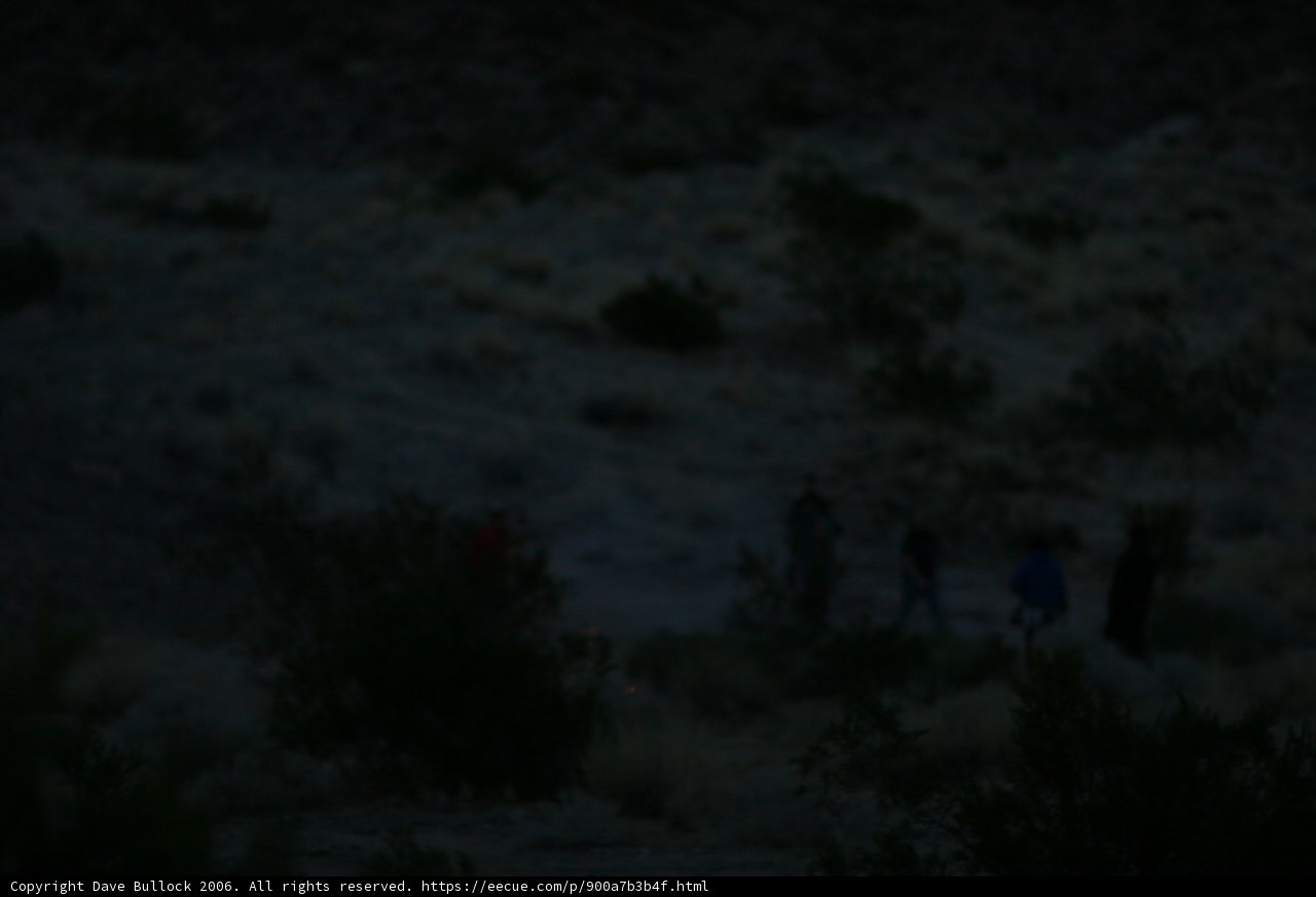 Night Hike in the Desert