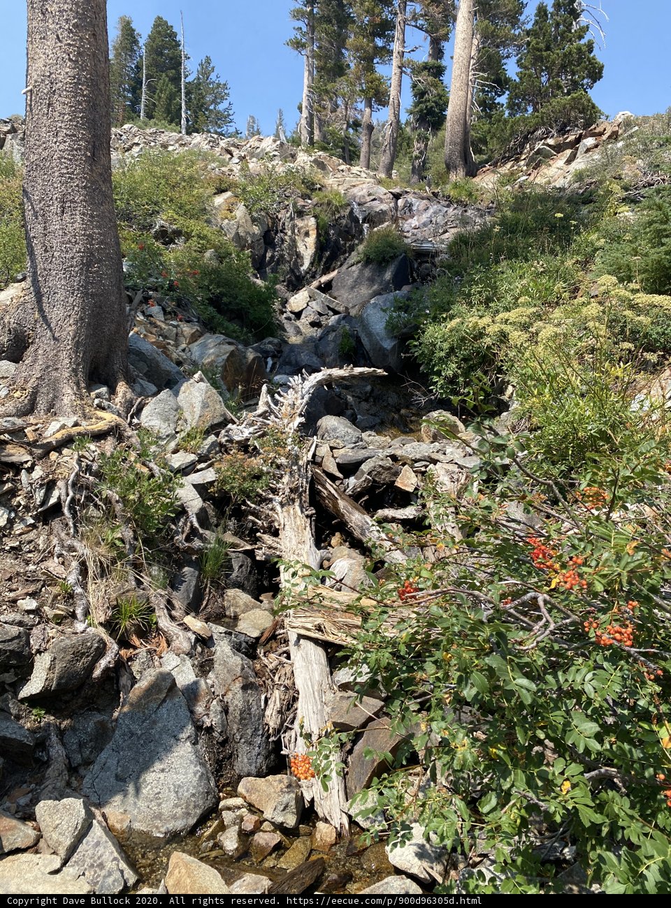Serenity in Desolation