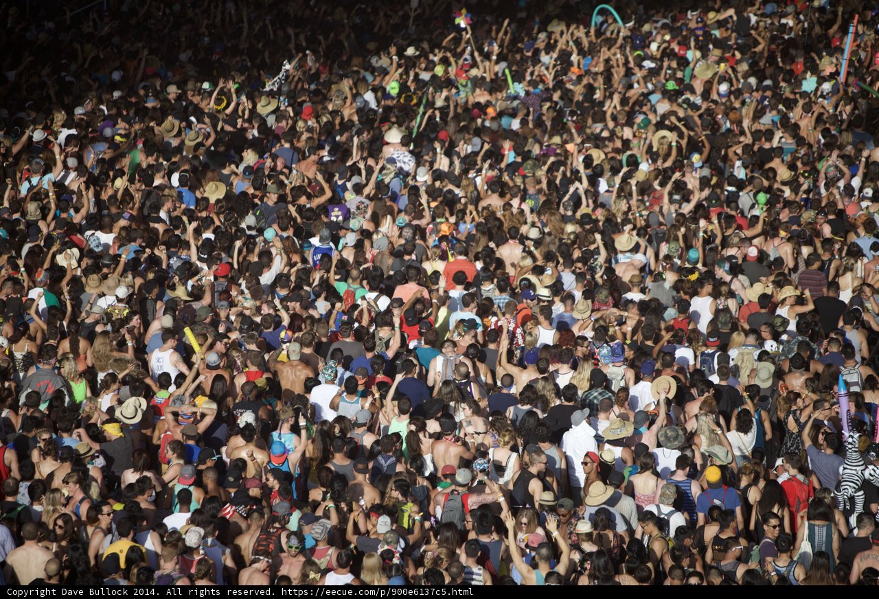 Electric Crowd at Coachella