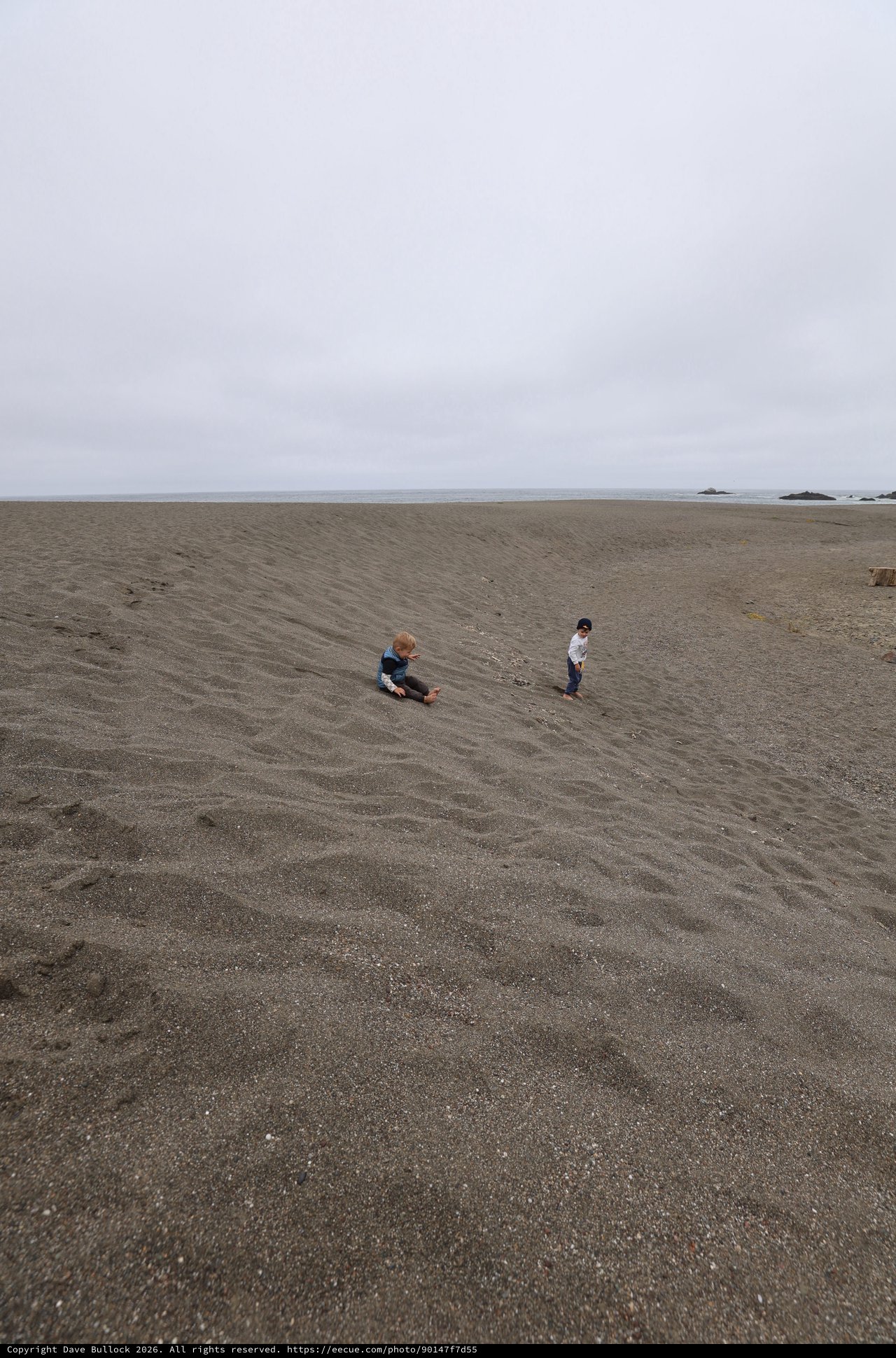 Two Children Playing on a Vast Gray Beach
