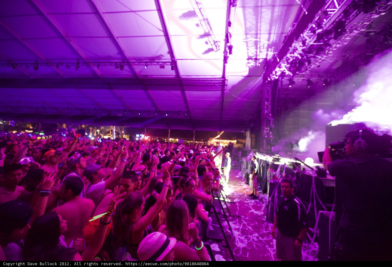 Purple Haze at Coachella