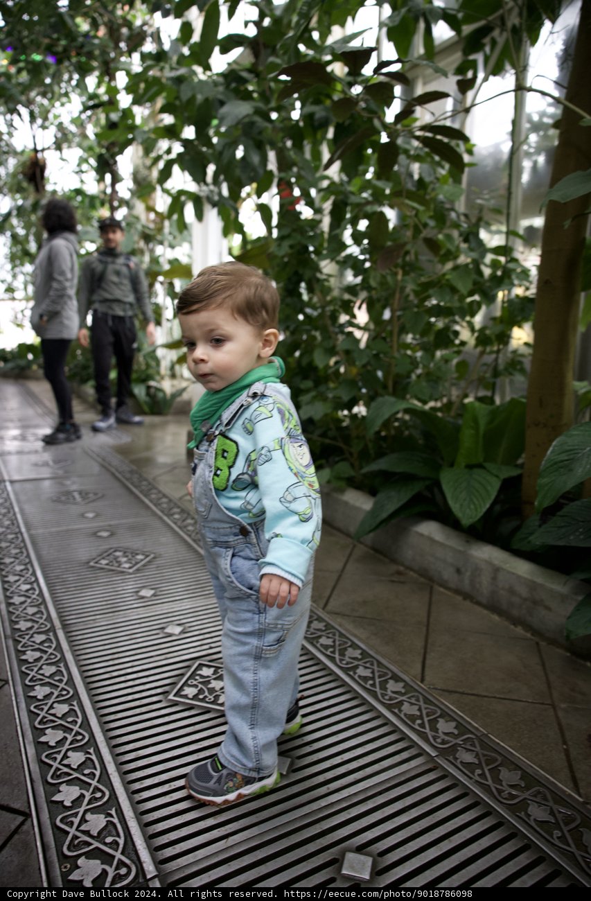A Glimpse of Greenhouse Explorations