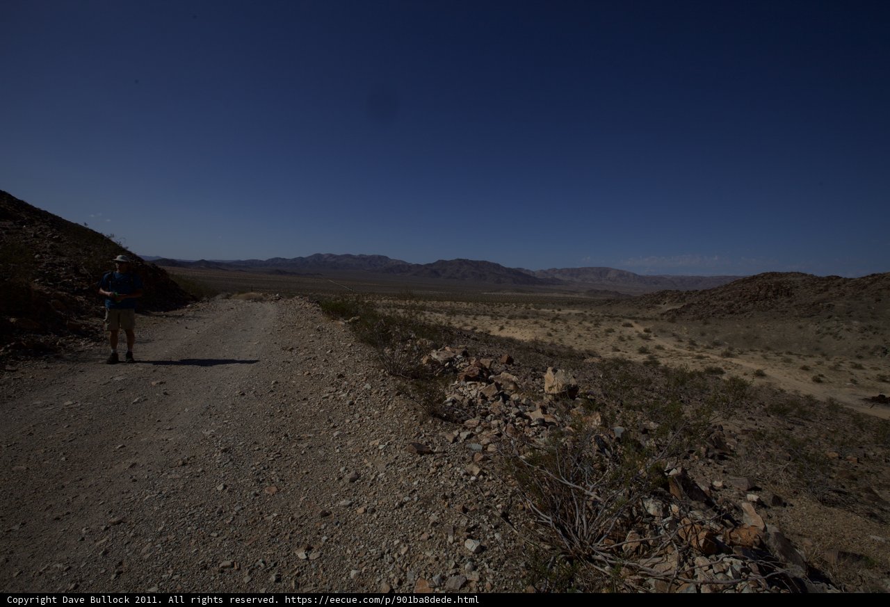 Walking Through the Desert