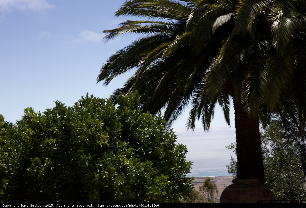 Oasis at Hearst Castle